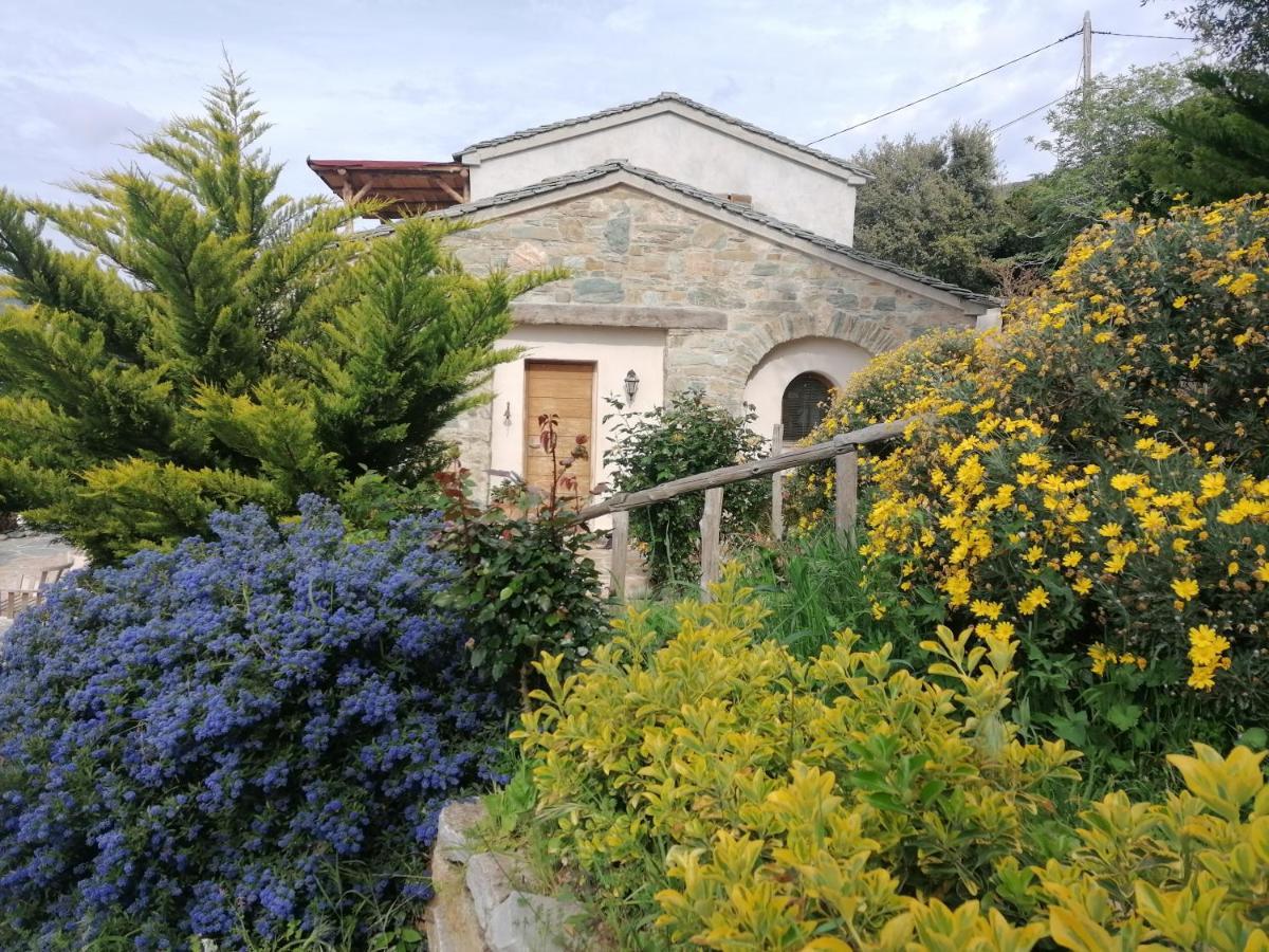 Logement De Charme Avec Piscine Privative Pino Kültér fotó